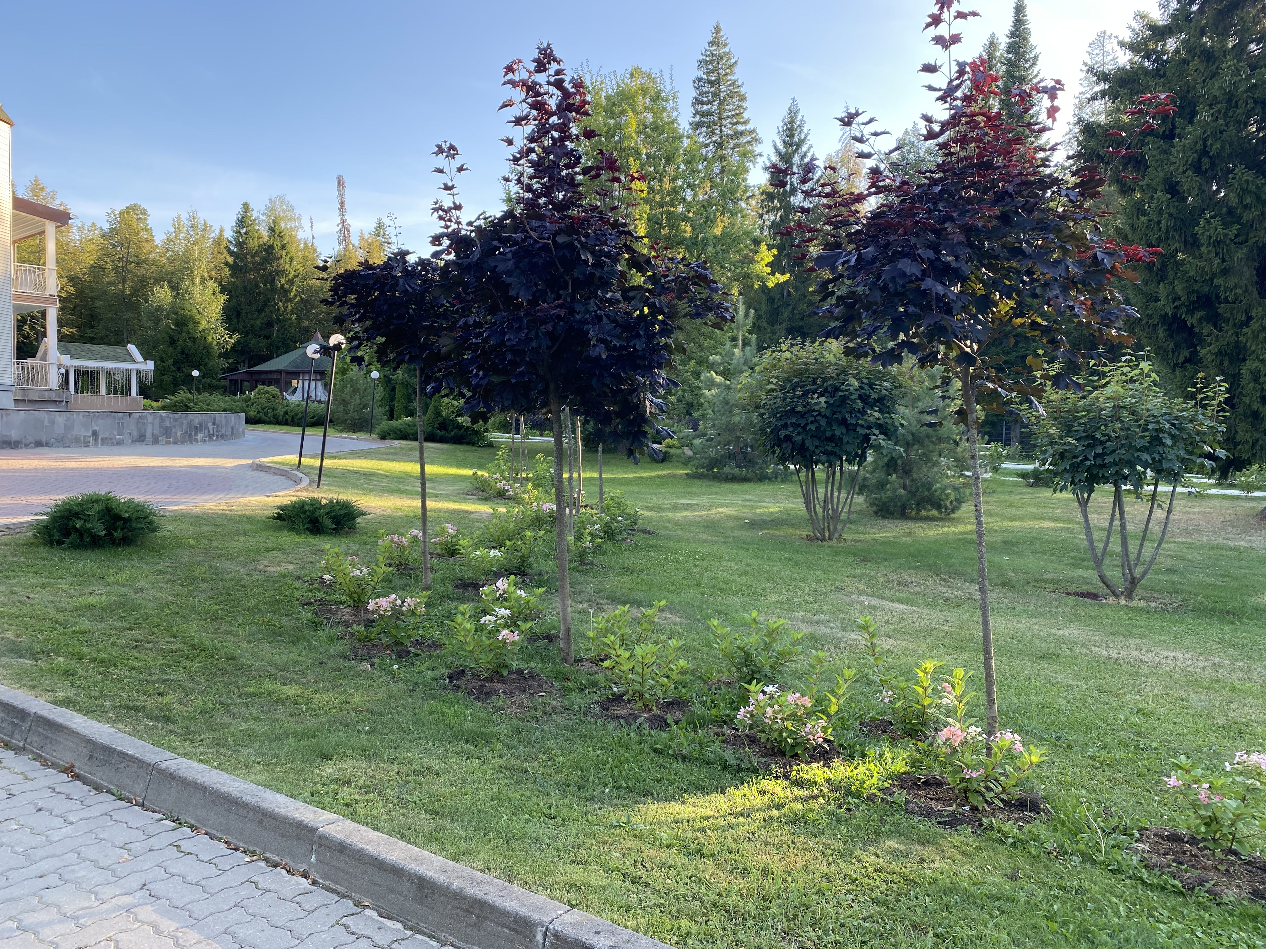 Фото Парк Отель