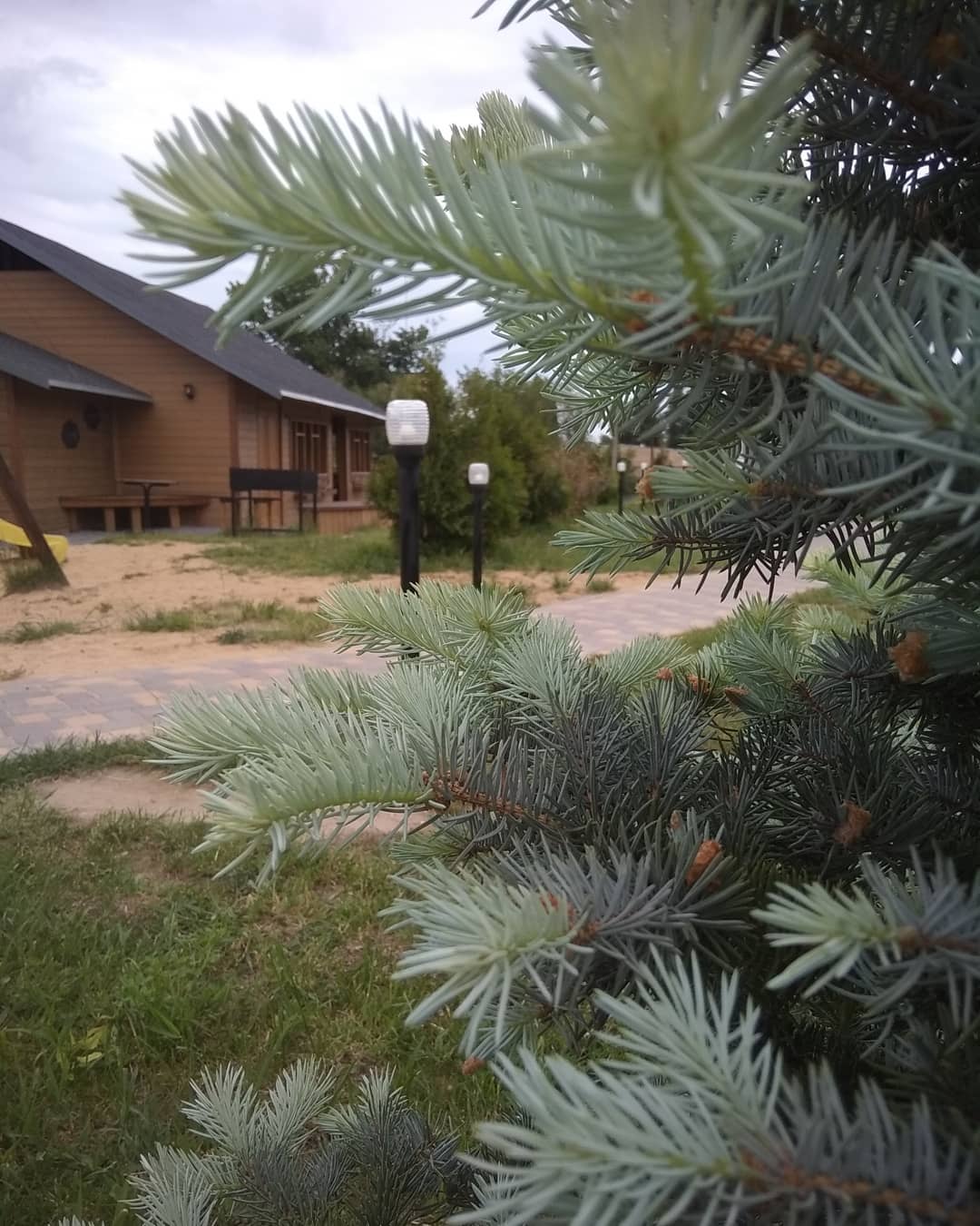 Фото Форест Гриль