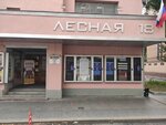 Другой театр (Lesnaya Street, 18), theatre