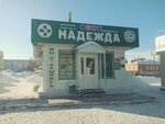 Надежда (ulitsa 107-y Brigady, 5Г) ، محل بقالة