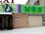 Plakuchaya iva (Novatorov Street, 9), hairdresser