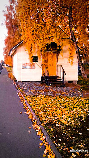 Chapel, memorial cross Часовня-храм в честь иконы Божией Матери Утоли мои печали, Saint Petersburg, photo