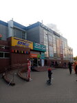 Alina (Ryazan, Novosyolov Street, 30А), shopping mall