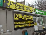 Photo Cat (Russkaya Street, 65Ас3), photography