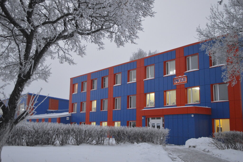 Electronic devices and components Crystal, Bogoroditsk, photo