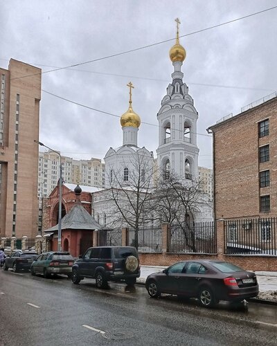 Православный храм Церковь Василия Исповедника за Рогожской заставой, Москва, фото