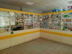 Аптека (Центральная ул., 195, село Становой Колодезь), аптека в Орловской области