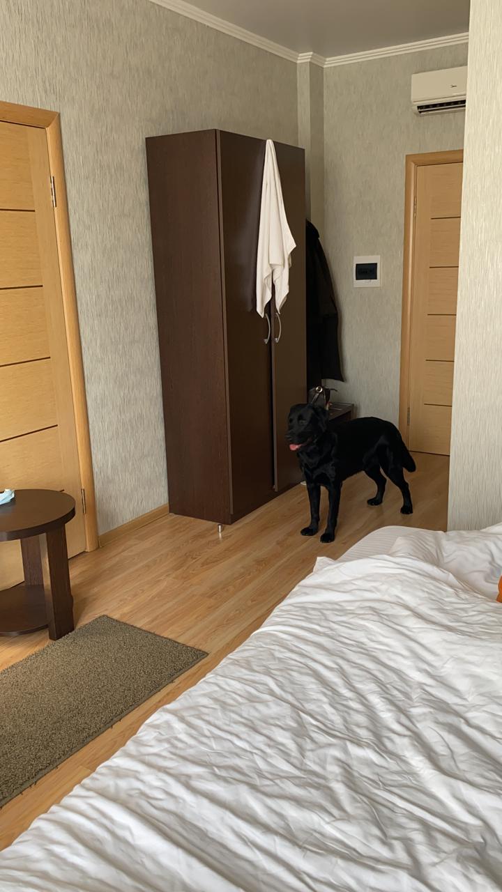 Фото Аэроотель