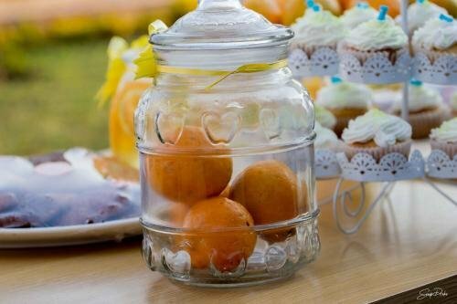 Гостиница Wild Dogs Lodge в Лусаке