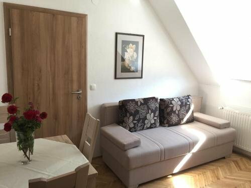 Гостиница Apartmaji In Sobe Tina в Краньска-Горе