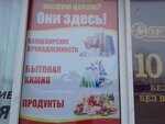 Nash dom (Lenina Street, 21Д), household goods and chemicals shop