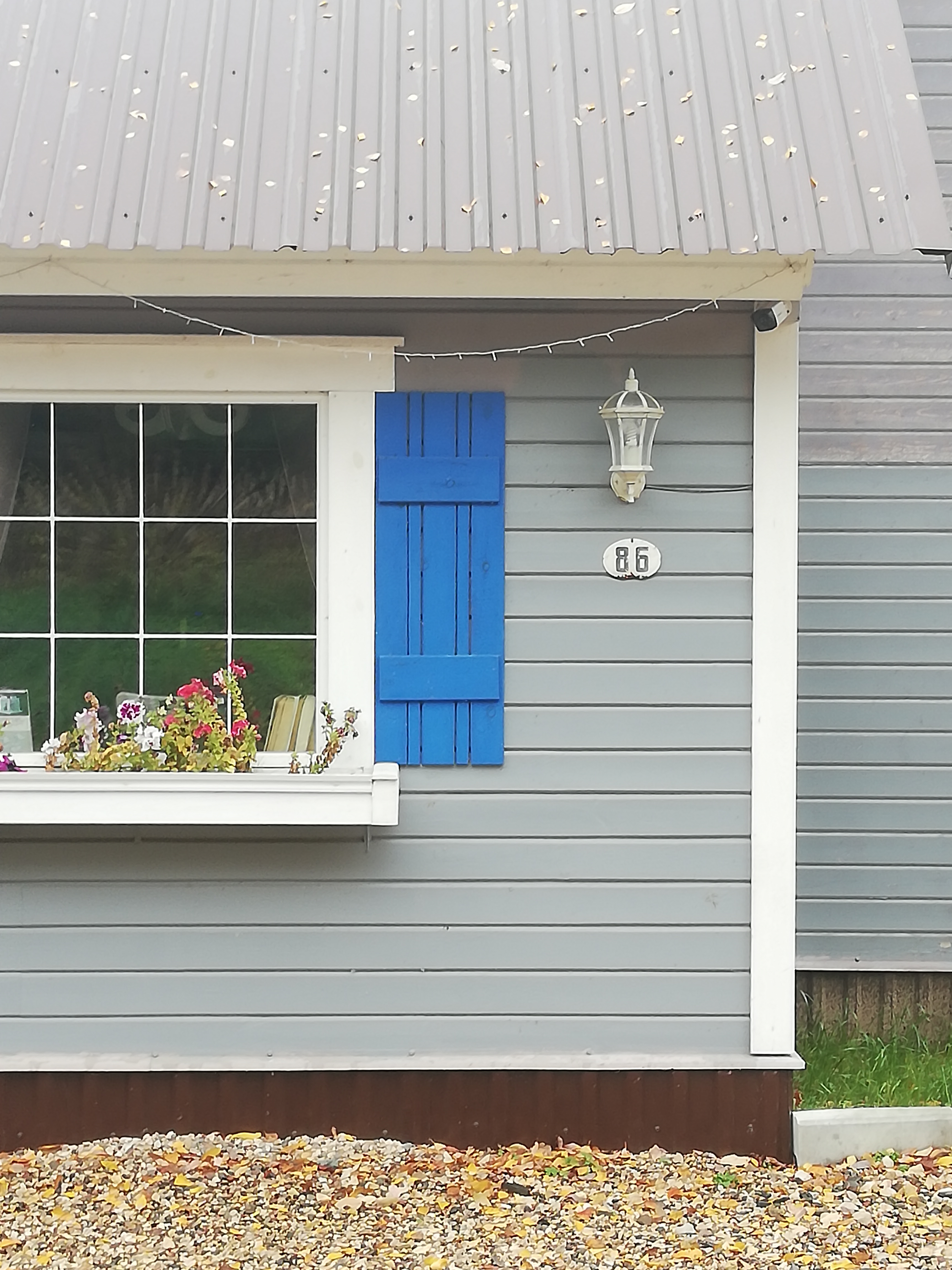 Фото Галерея