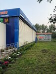 Клумба (ulitsa Pushkina, 21Г) ، توصيل باقات الزهور