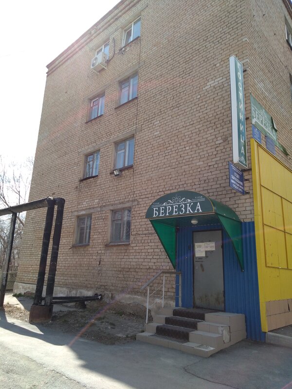 Берёзка — фото 22