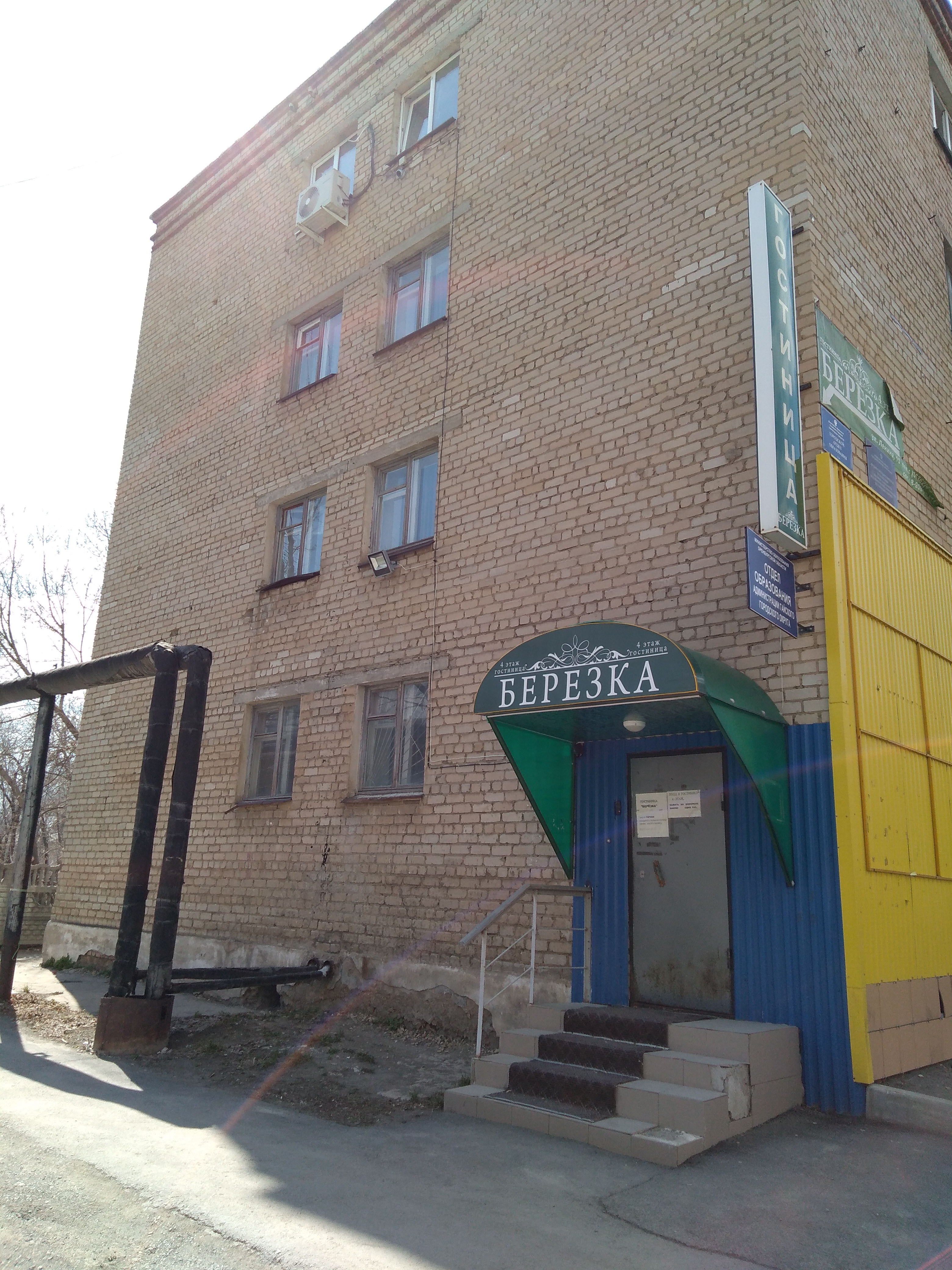 Фото Берёзка