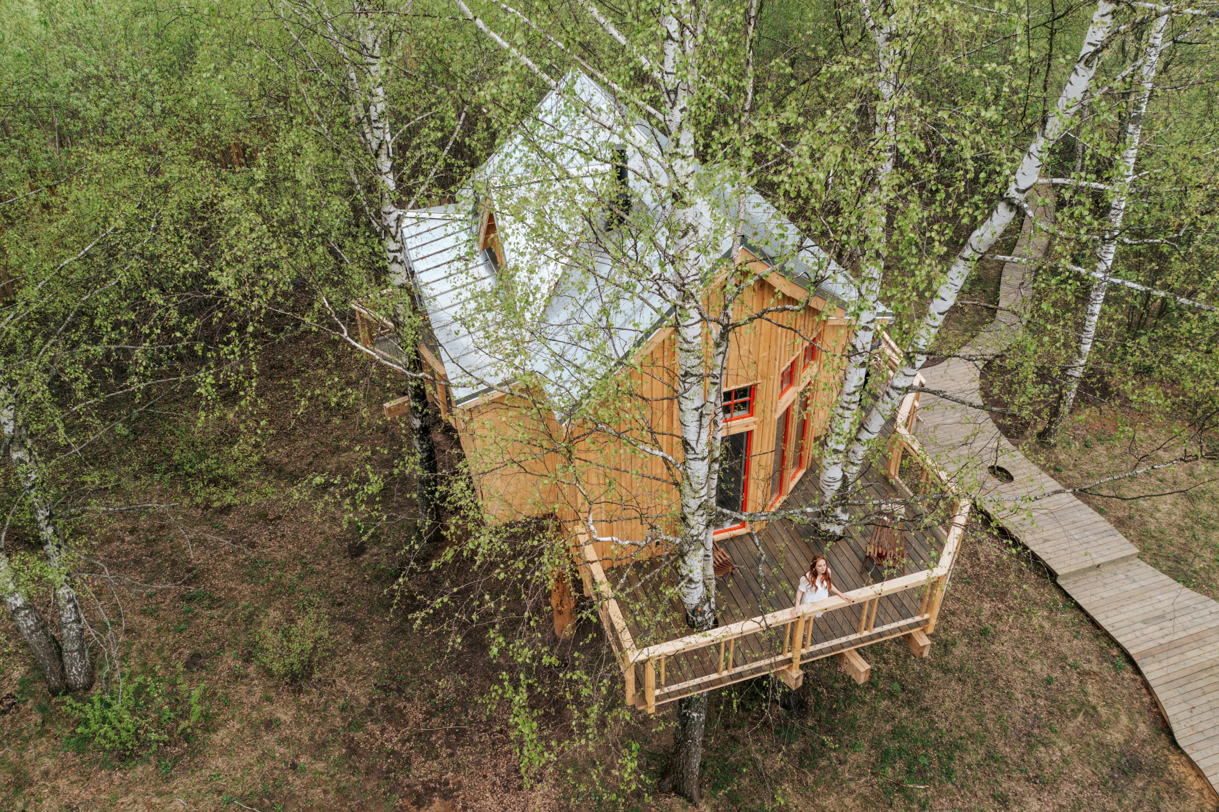 Фото Лапочкино гнездо Дома на деревьях