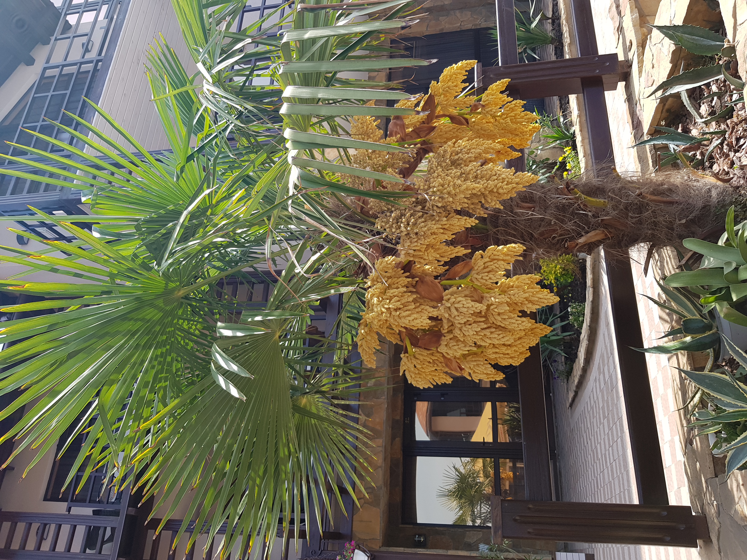 Фото Ассоль Меганом