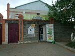 Damdi (Qaraótkel shaǵyn aýdany, Oıtoǵan oramy, 3), grocery