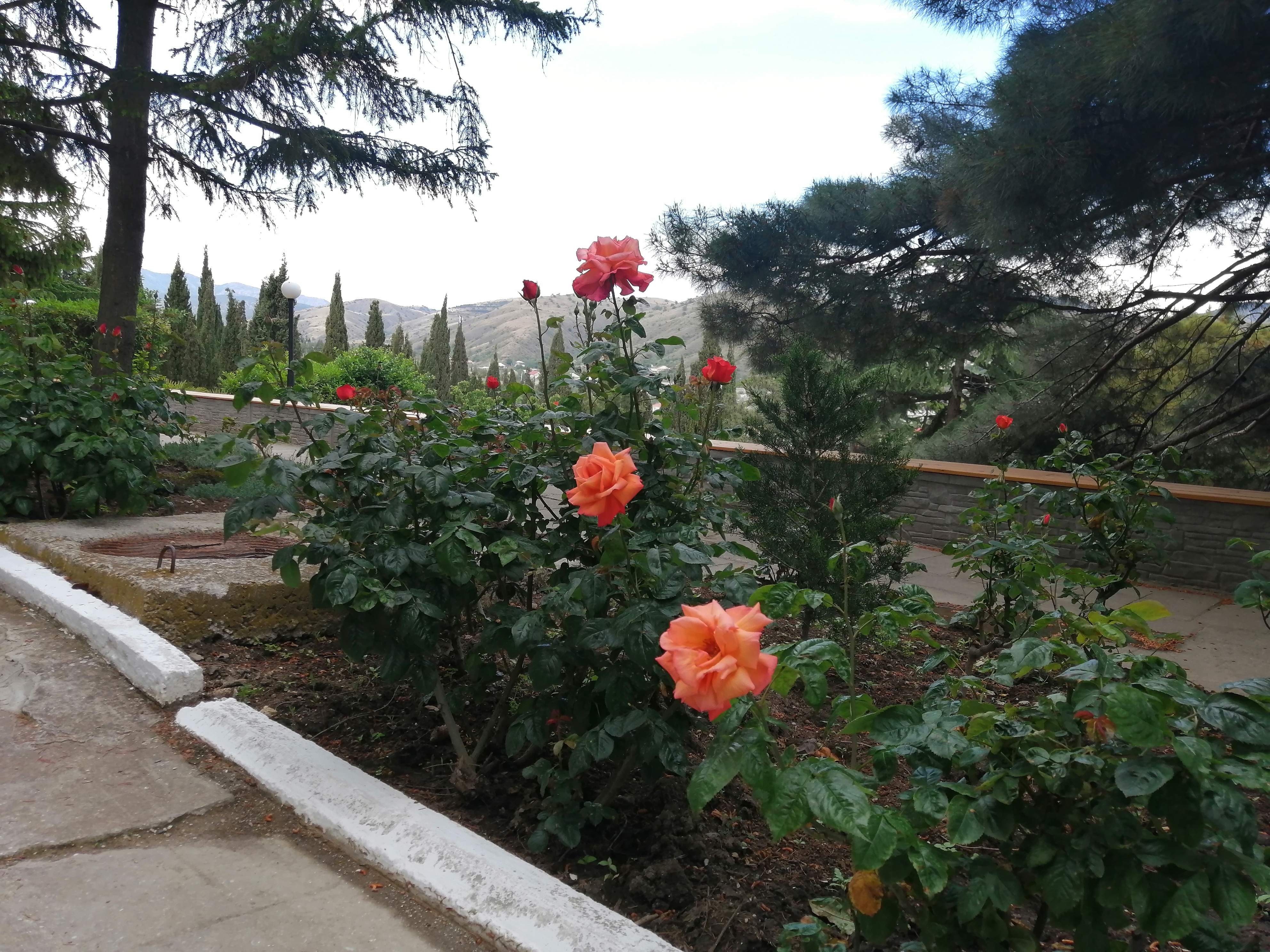 Фото Зенит