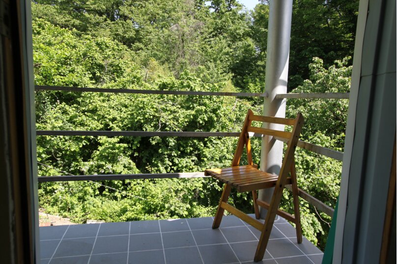 Фото Бамбучок