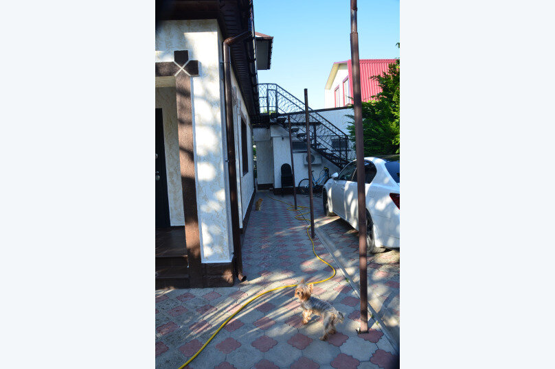 Фото Абрикосовая