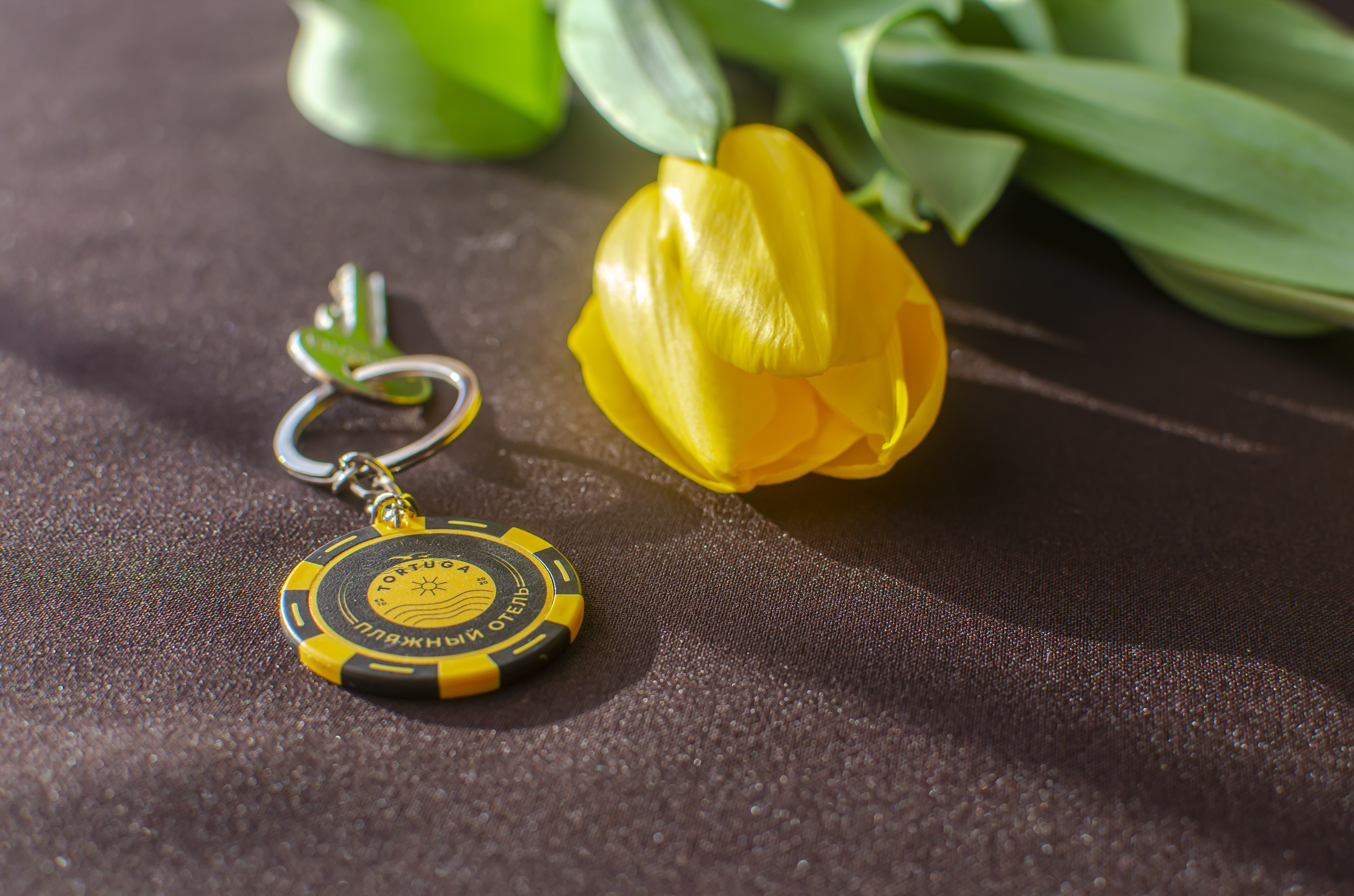 Фото Тортуга