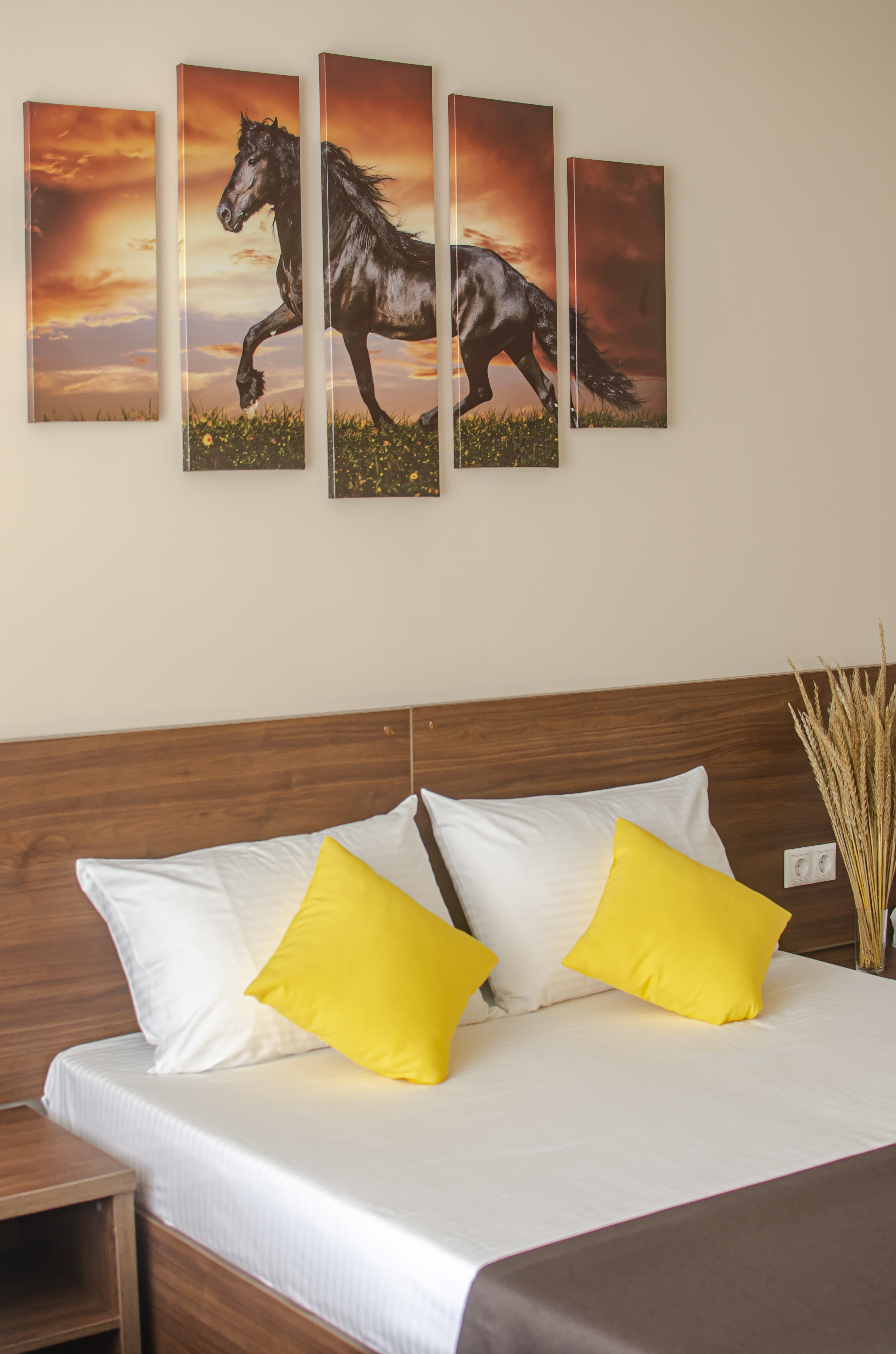 Фото Тортуга