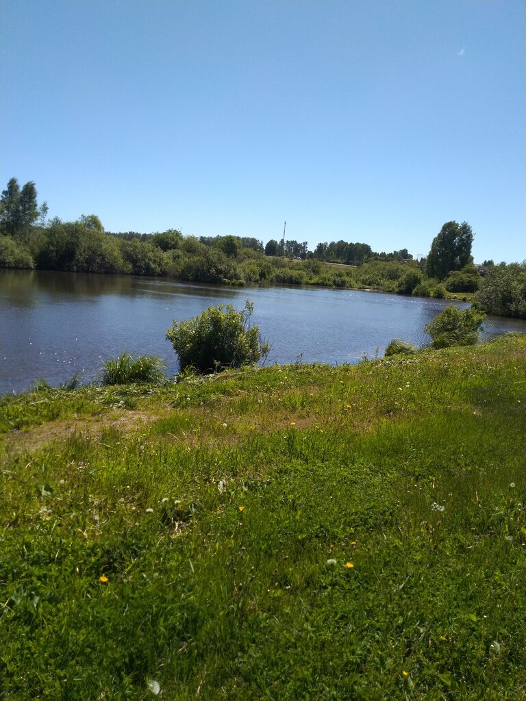 نوادي الصيادين Платная Рыбалка Https: m. Vk. Com/nazaravo ، موسكو ومحافظة موسكو، صورة