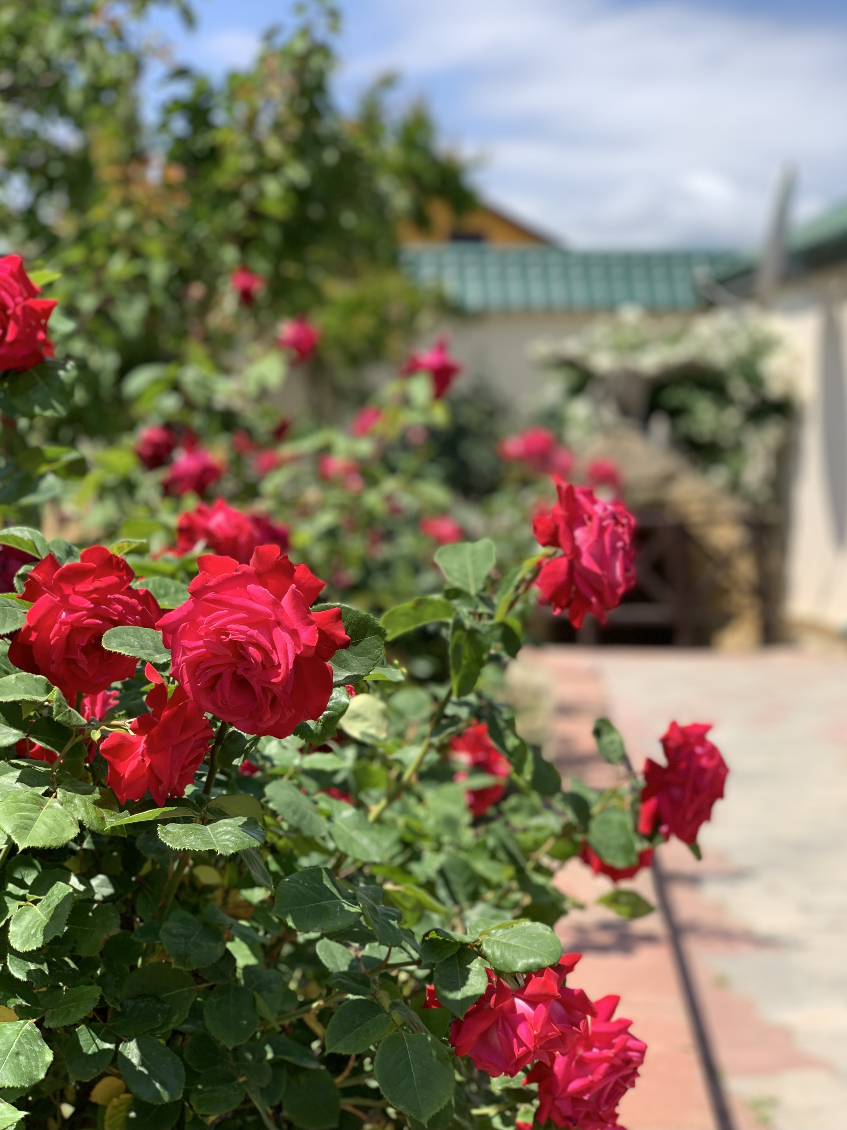 Фото Villa Victoria