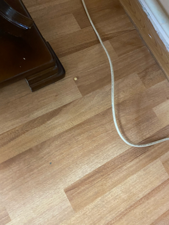 Фото Фрегат