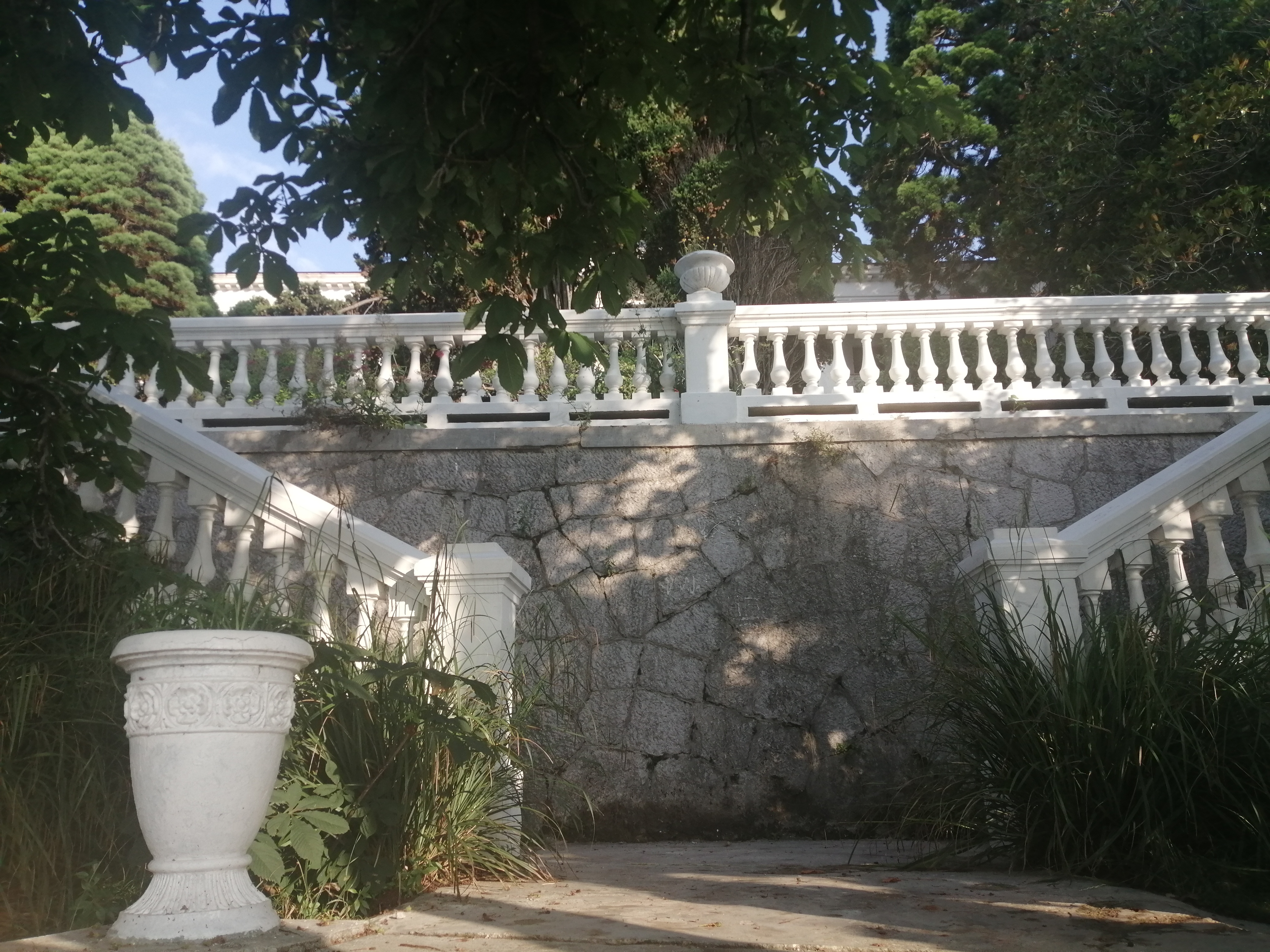 Фото Лиго Морская