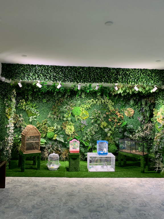 Фото Зарафшан