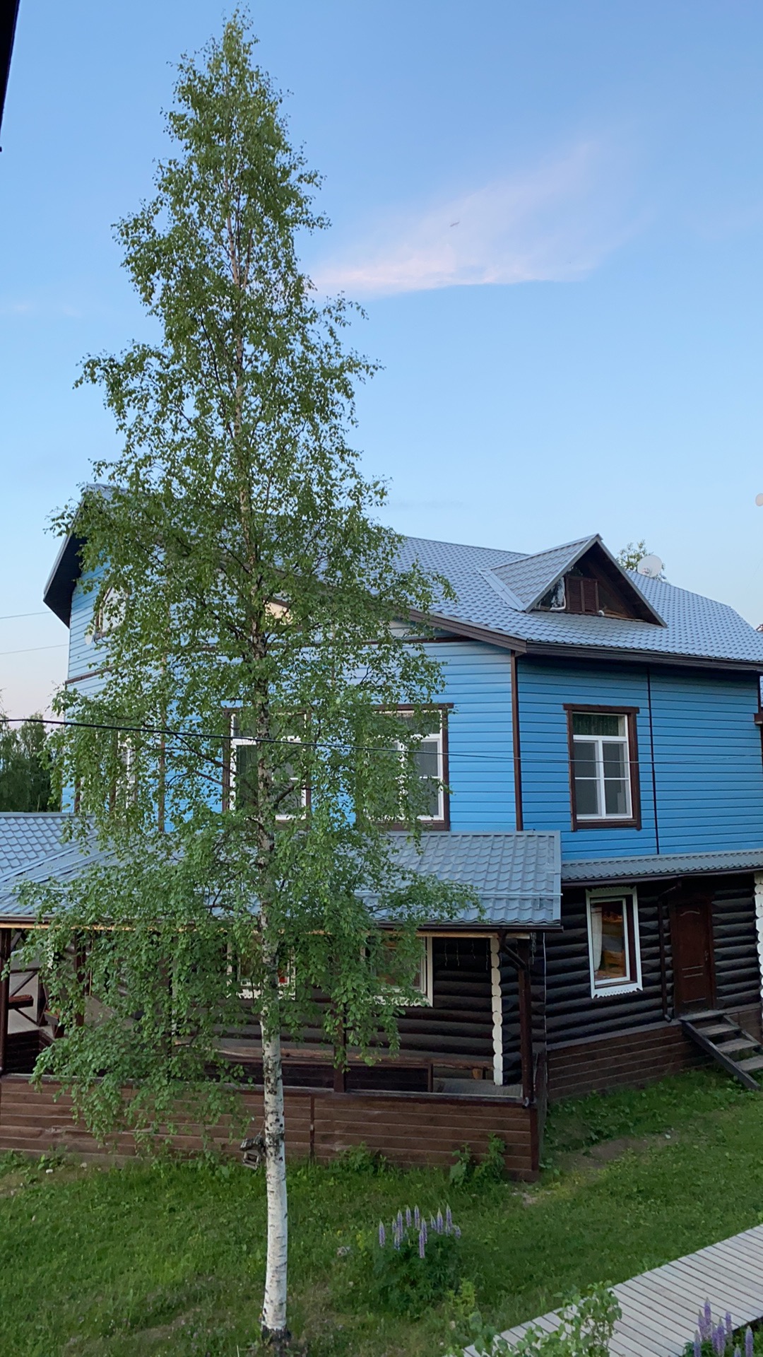 Фото Парк Голубино