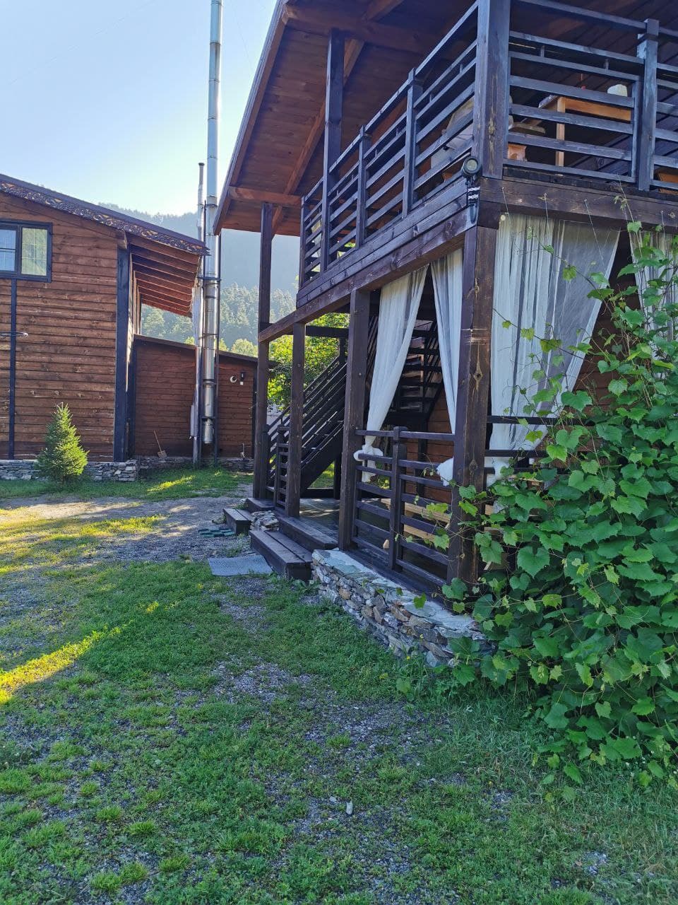 Фото Медведь и Ягодка