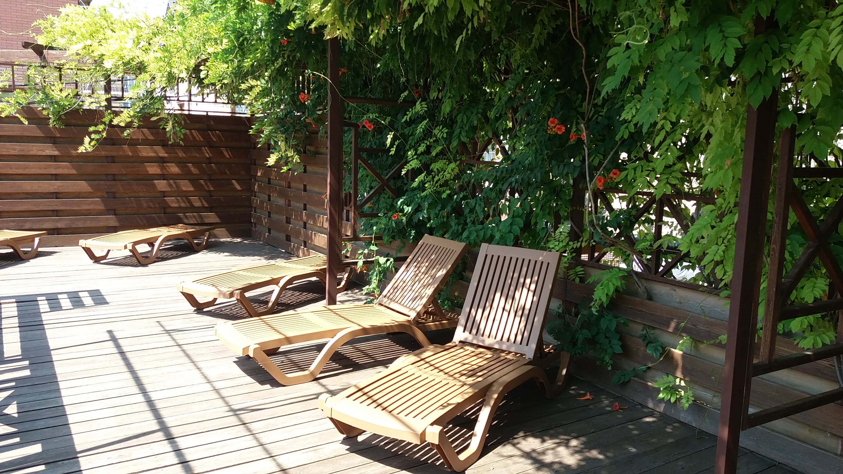 Фото Старинный Таллин