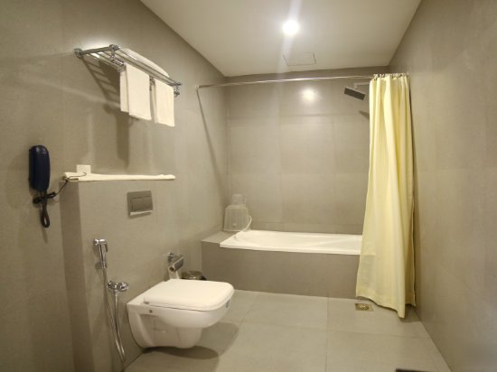 Фото Hotel Yamuna
