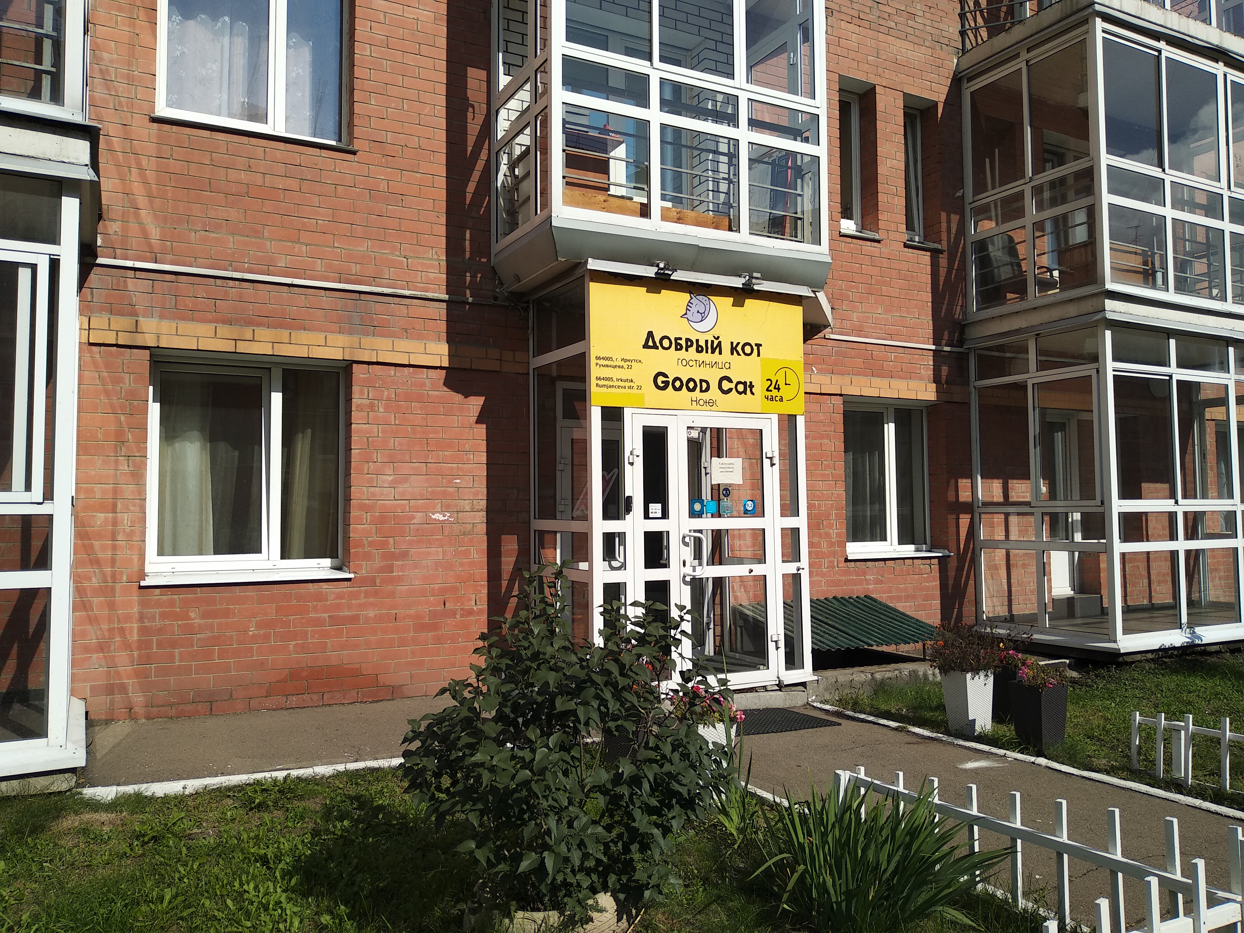 Фото Добрый Кот