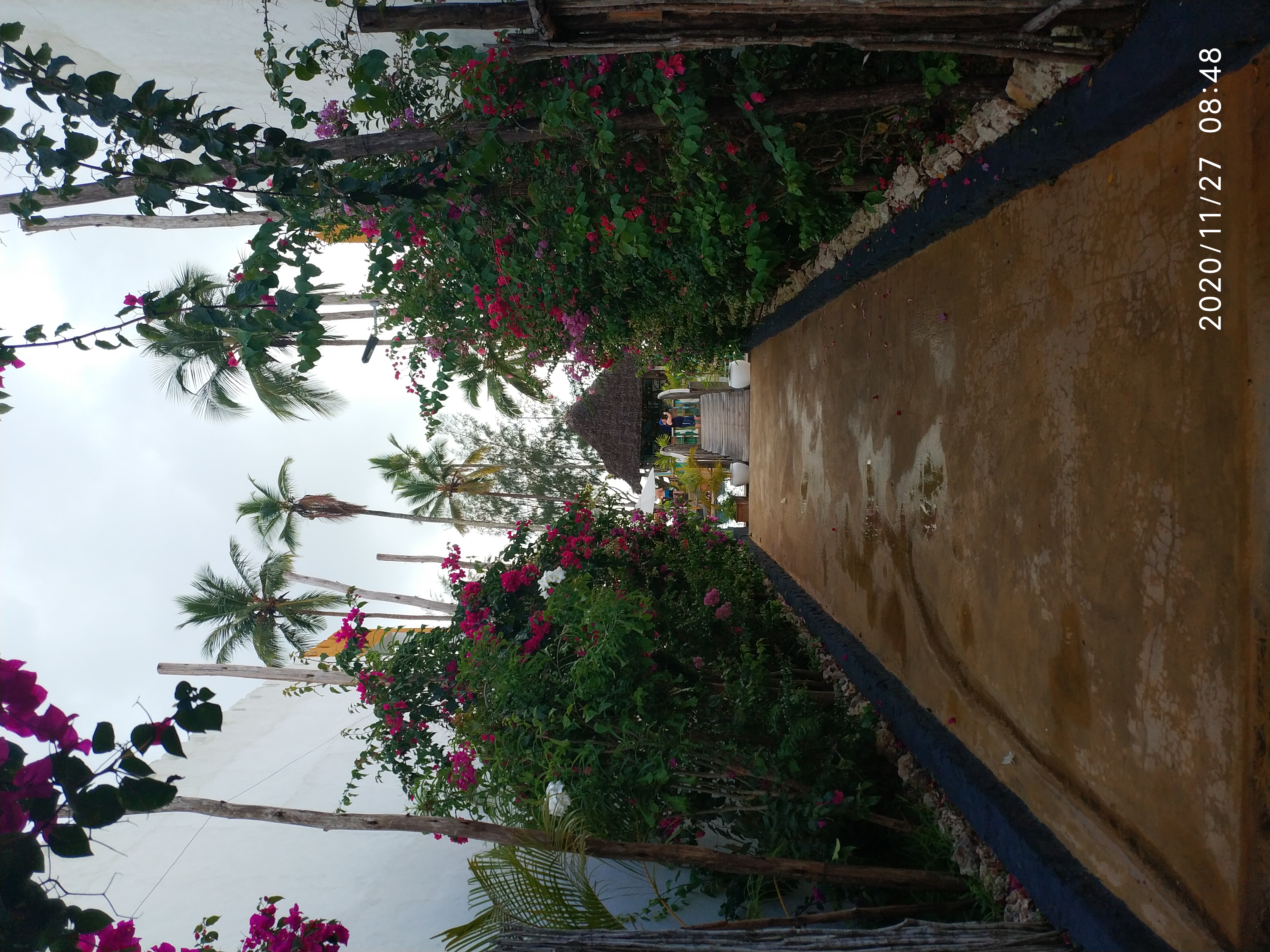 Фото Paradise Beach Resort