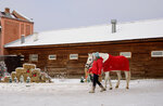 Fond Tikhomirovykh (Village of Granovschina, ulitsa Zagoskina, 144), horse riding