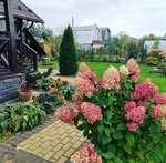 Барбарис (Bor, Steklozavodskoye shosse, 18к2), landscape design