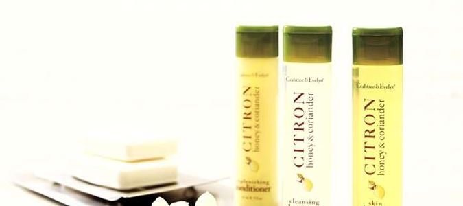 Фото DoubleTree by Hilton Chicago Wood Dale - Elk Grove