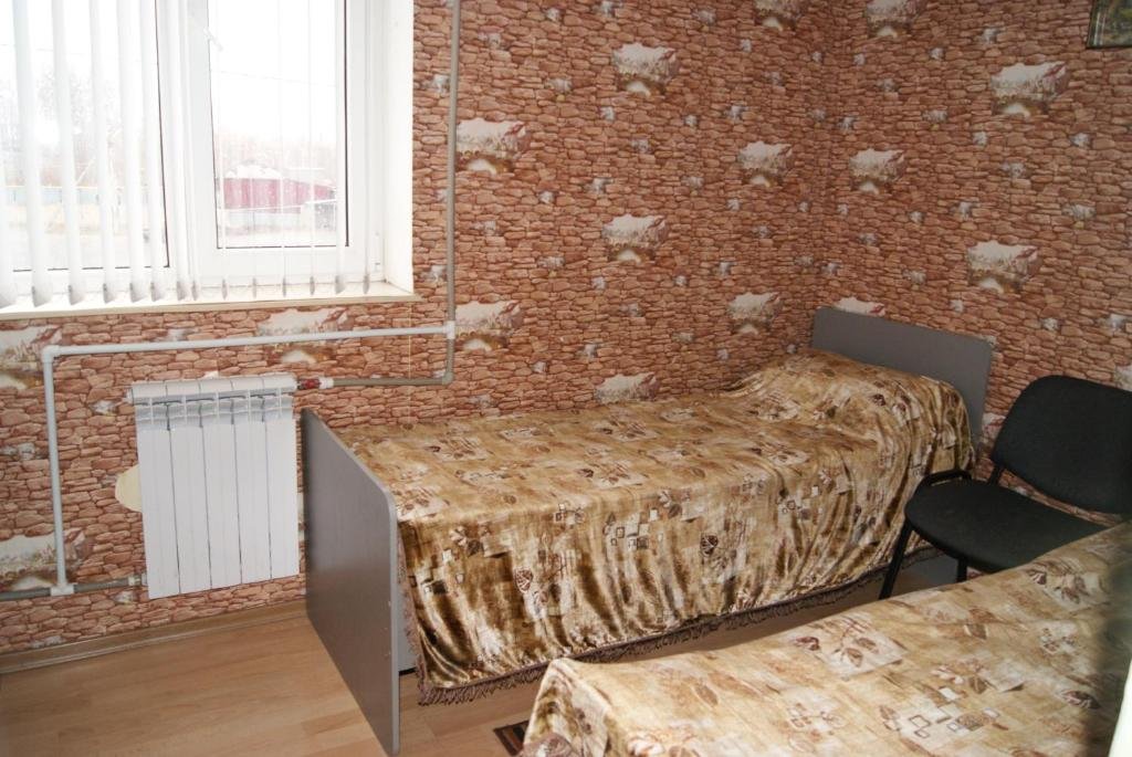 Фото Лебедь