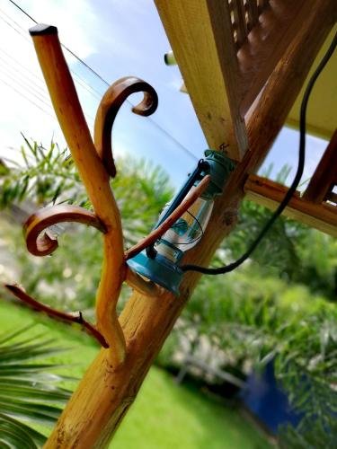 Фото Riviera Resort