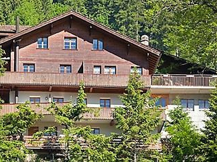 Hotel Apartment Adlerhorst Ch3715.710. 1, Adelboden, photo