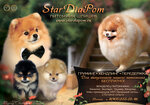 Pitomnik Pomeranskikh shpitsev Stardiapom (Proletarsky Avenue, 23), animal nursery