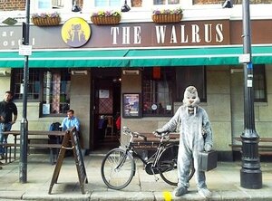 The Walrus Bar and Hostel