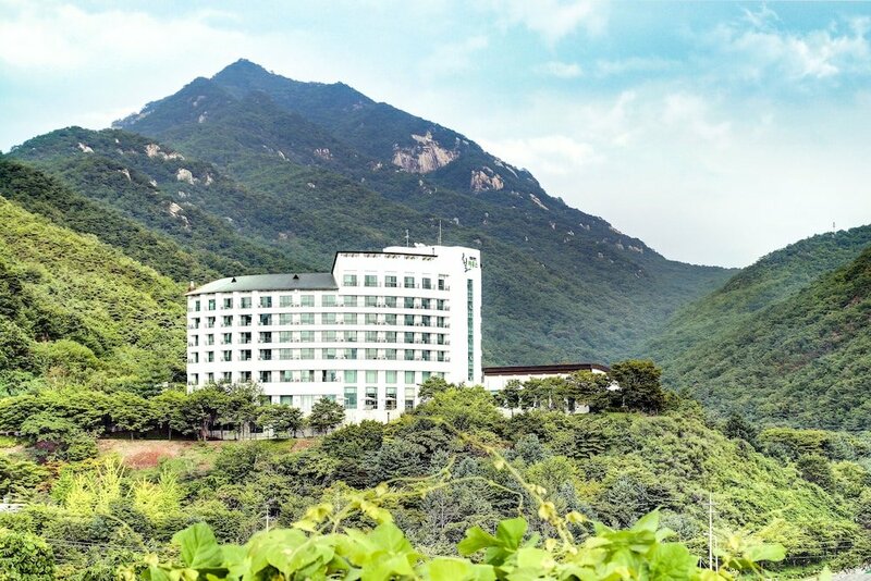 Гостиница Cheongpung Resort Hill House