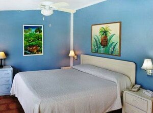 Pavilions and Pools Villa Hotel by Antilles Resorts