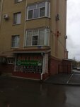 Столетник (Gagarina Street, 61), pharmacy
