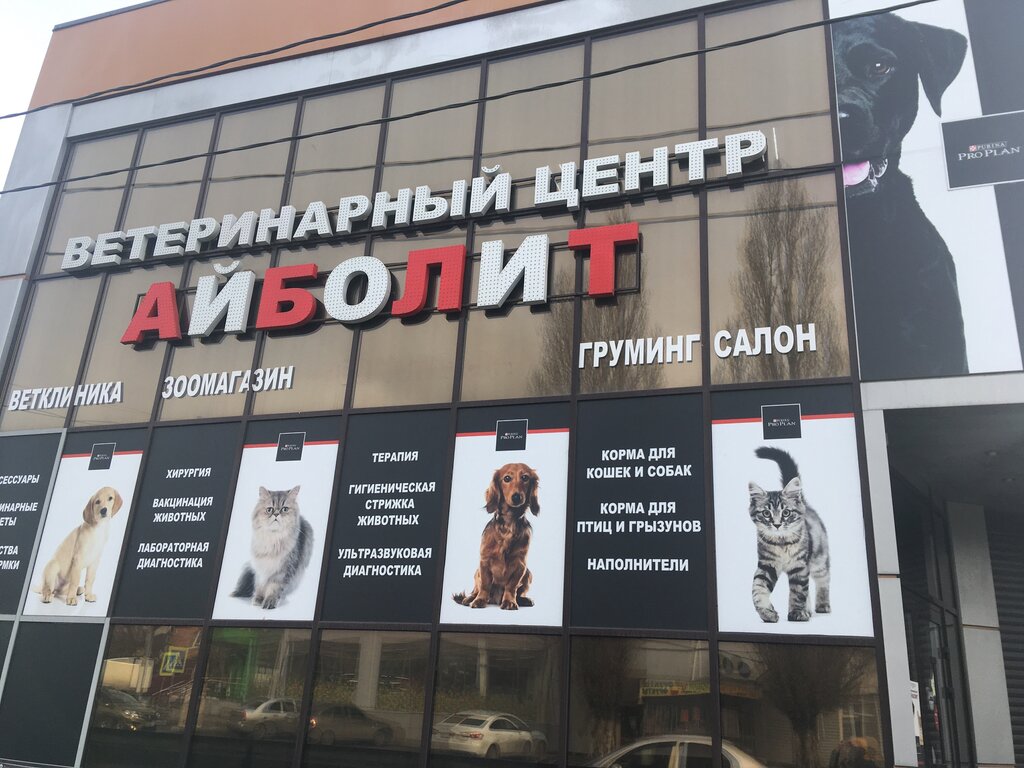 Айболит просп победа революции 23а шахты фото